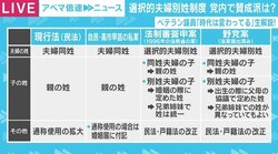 選択的夫婦別姓、自民党内で“通称使用拡大・周知促進の議連”立ち上げも 議論は今どのような段階に？