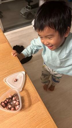  はあちゅう氏、株主優待で自宅に届いた品を公開「息子のテンション爆上がり」 