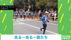 ランナーも思わず振り返る!! マラソン中に起きた“ハプニング” 実行委員会「ここまでの数は珍しい」