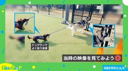 「もっと遊ぼうワン！」友だちの帰宅を阻止するイヌが悶絶級の可愛さ