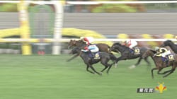 【菊花賞】ゴーイントゥスカイが接戦制し勝利！ 武豊は菊花賞最多6勝目…ロブチェン史上9頭目の牡馬クラシック三冠達成ならず