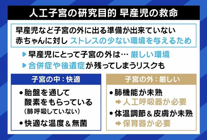 【写真・画像】早産児の救命を 「人工子宮」研究に期待の声、一方で生命倫理の問題も 「“重症の新生児にもっと良い治療はないか？”という医療現場の願いから始まった研究だ」　6枚目