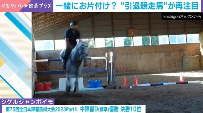 シゲルジャンボイモ