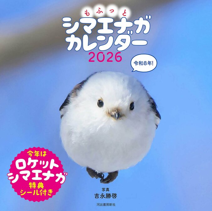 もふっとシマエナガ　カレンダー2026