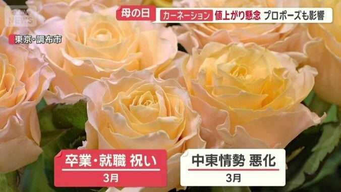 バラ1本の値段を例年より約200円値上げ