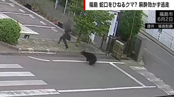提供：福島製鋼