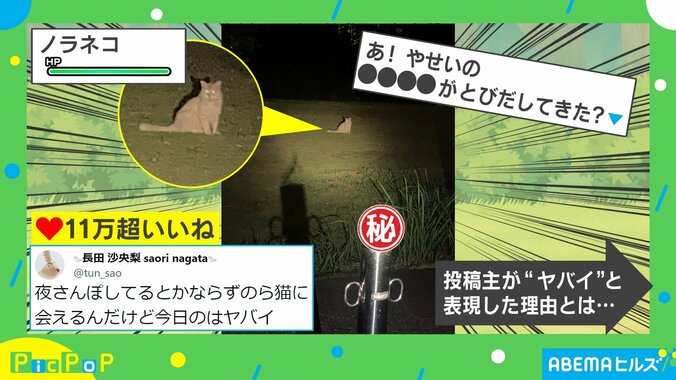 夜の公園に現れた野生動物たち 某ゲームを彷彿させる構図に「なんだかバトルが始まりそう」「芸術点高すぎ」と反響 1枚目