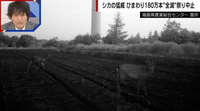 提供：福島県農業総合センター