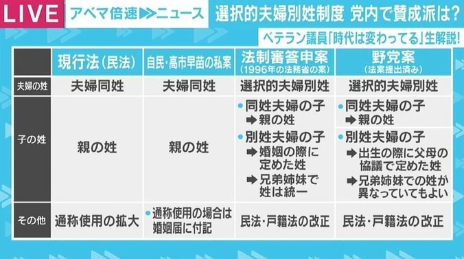 選択的夫婦別姓、自民党内で“通称使用拡大・周知促進の議連”立ち上げも 議論は今どのような段階に？ 1枚目