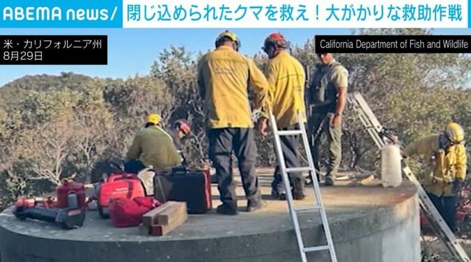 クマ親子の救助活動