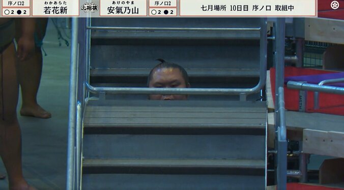 「隙間から千代丸たんw」元人気力士、まさかの場所に“ひょっこり”登場 中継カメラが捉えた“じわる”瞬間が話題 2枚目