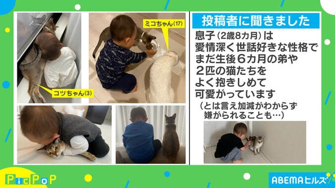 「影までかっこいい」2歳児の“猫の呼吸”に反響相次ぐ 投稿主を取材「普段からコミカルな息子」 2枚目