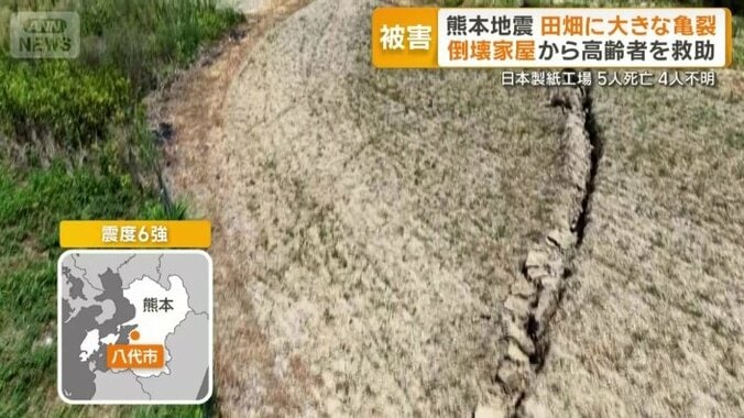大きな亀裂が入った田畑