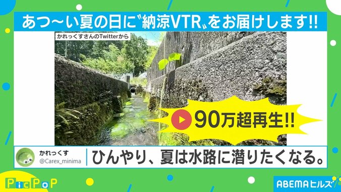 「魚になった気分」暑い夏にぴったりな“水路に潜りたくなる”映像がTwitterで話題 1枚目