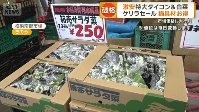 サラダ菜は1箱270円