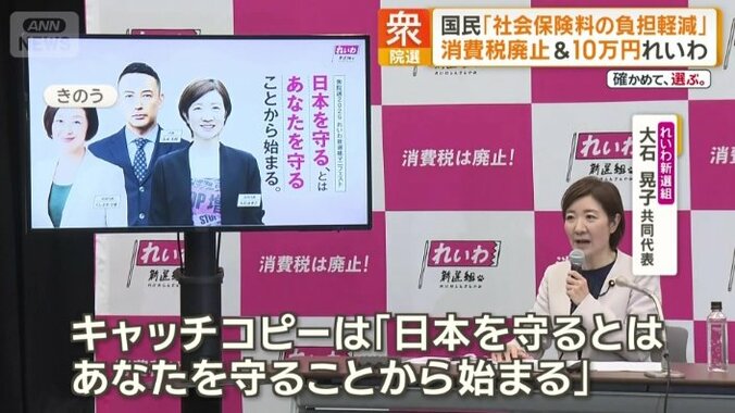 れいわ新選組　大石晃子共同代表