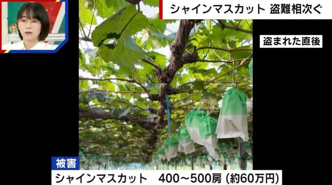 盗まれた直後の様子