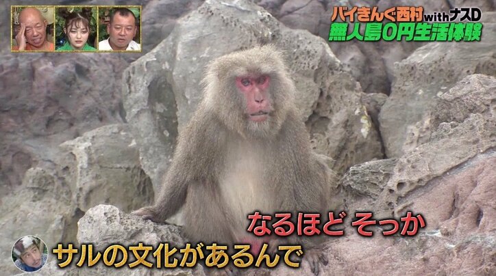 バイきんぐ西村を猿が挑発？ その小馬鹿にしているような表情に小峠英二「俺もムカついてきた！」