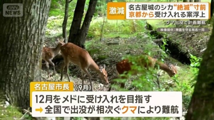 クマ出没で計画難航