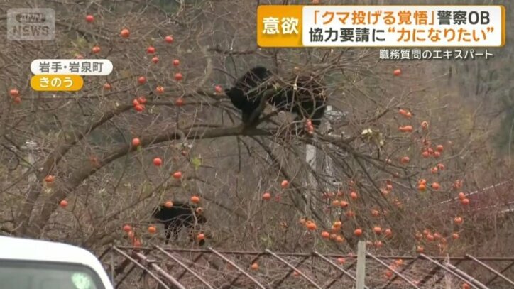 岩手・岩泉町の住宅街に現れた2頭のクマ