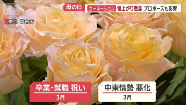 バラ1本の値段を例年より約200円値上げ