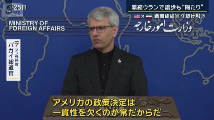 イラン外務省　バガイ報道官