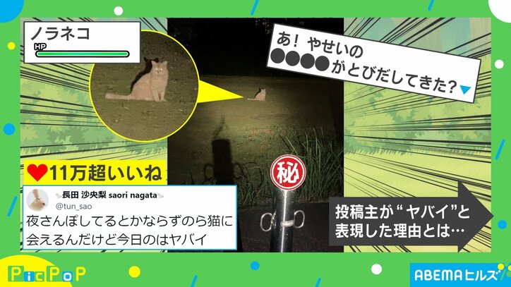 夜の公園に現れた野生動物たち 某ゲームを彷彿させる構図に「なんだかバトルが始まりそう」「芸術点高すぎ」と反響