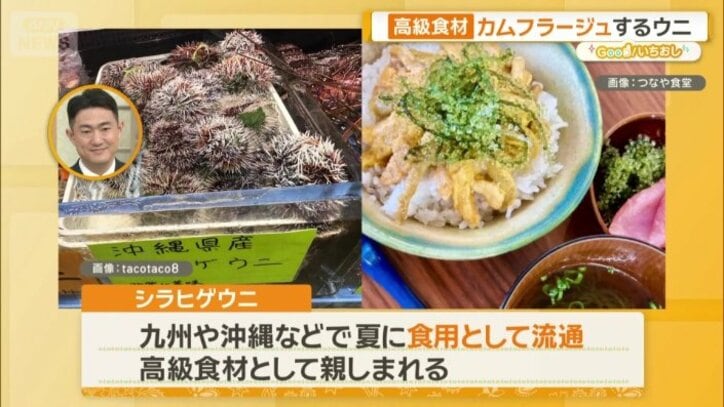 人気の高級食材