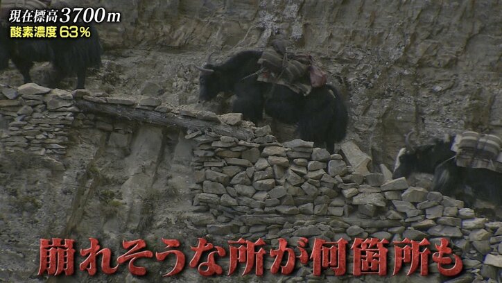 「落ちたら死にます」険しすぎる悪路が何度も訪れる環境で撮影続けるナスD 目の前では雪崩が起こり轟音が響く