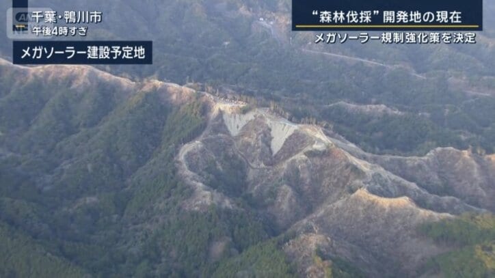 メガソーラー建設予定地