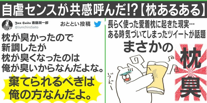 「棄てられるべきは俺の方」臭くなった枕に関する哀愁漂うツイートが話題に 専門家に加齢臭対策を直撃