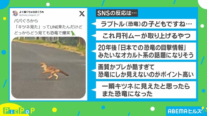 “まさかの生き物”