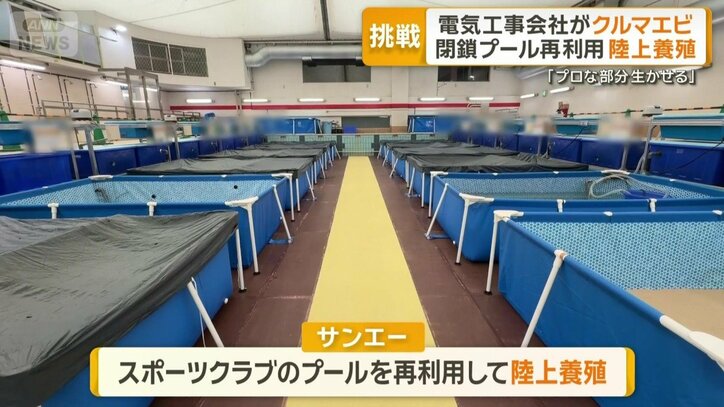 プールを再利用して陸上養殖