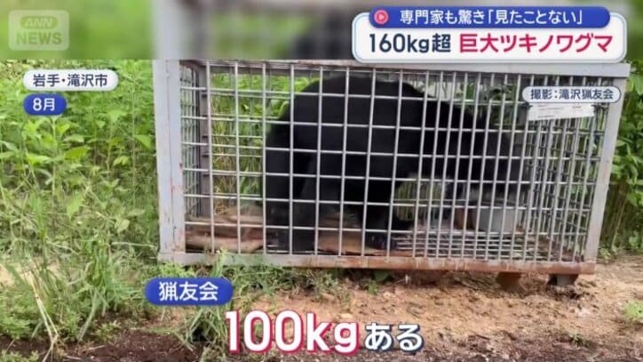 牛舎の近くで捕獲したクマ