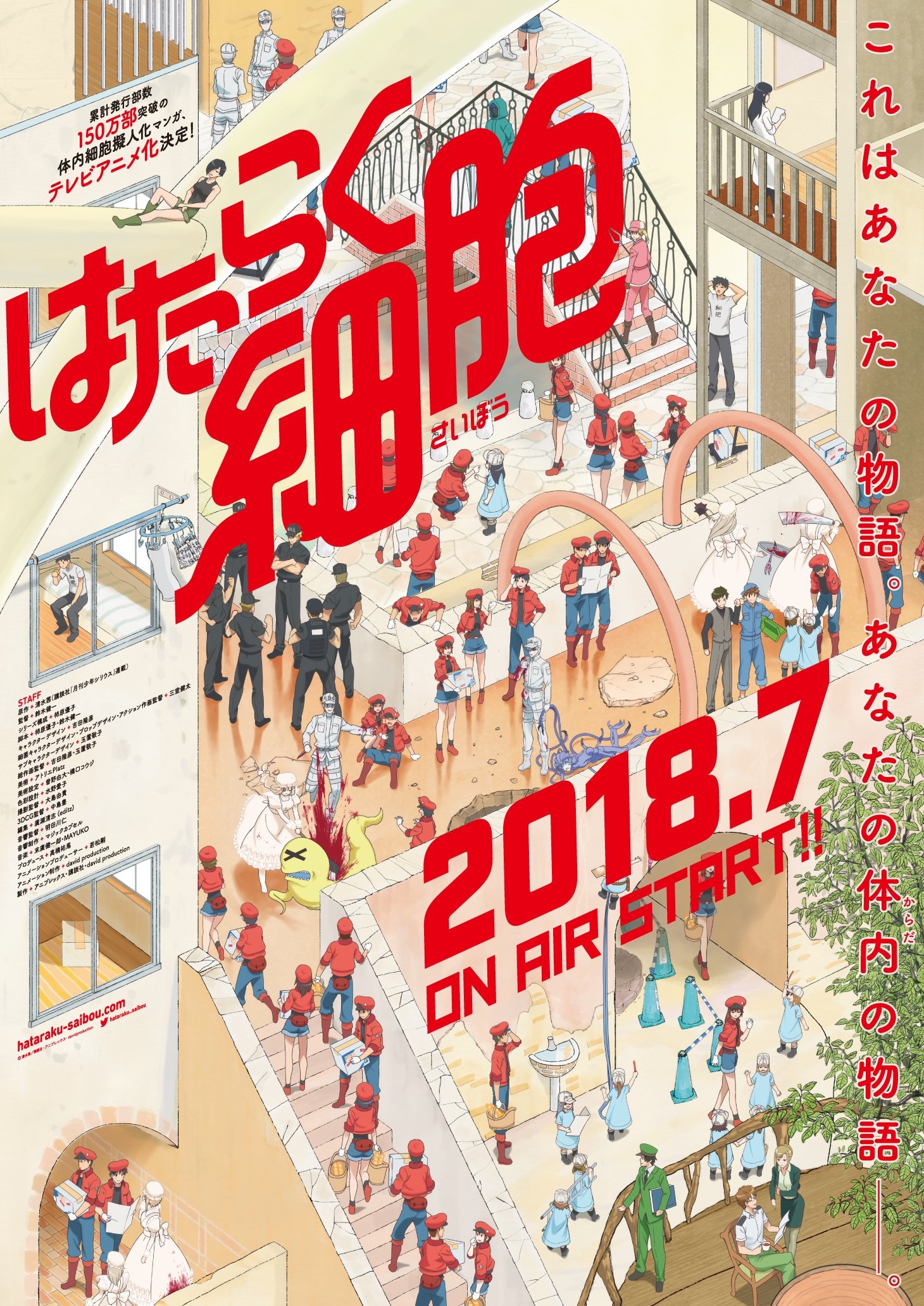 体内細胞擬人化マンガ はたらく細胞 Tvアニメ化決定 7月から放送開始 ニュース Abema Times