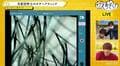 プロの本格診断で浪川大輔＆石川界人の“毛髪事情”が丸裸に…!? 浪川の“頭皮”初公開で「ねぇ恥ずかしい～！」と赤面