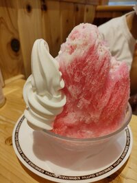 安田さち『怒鳴られて気付けたこと。』