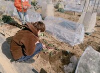 辻希美&杉浦太陽、“食べず嫌い”がある我が子の食育のため菜園をレンタル「家族での楽しみが増えました」