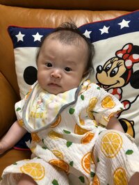 キンタロー。『ちびキンちゃんの目線の先には、、、』