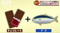 社会ニュース - 味も抜群“老けにくい”ブリ　不思議な餌の正体は… | 動画視聴は【Abemaビデオ(AbemaTV)】