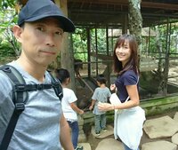 モンキッキー『イイフウフノヒ！』