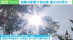 猛暑で家計消費支出が増加 東京都が支援拡充へ 石倉秀明氏「生活が苦しい人は命に関わる」