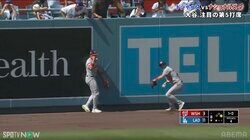 多分入ってたよな…大谷翔平の26号レビュー検証弾で「最も近い目撃者」が悟りの仕草！？ 判定前にHRを予見した“グラウンドの証言”