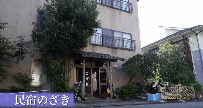 「お待ちしておりましたニャ」旅人を癒す伊豆のモフモフ猫たち 14枚目