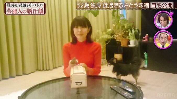 【写真・画像】さとう珠緒（52）、愛犬と暮らす自宅を公開「レアな映像」絶賛の声　2枚目