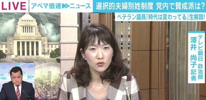 選択的夫婦別姓、自民党内で“通称使用拡大・周知促進の議連”立ち上げも 議論は今どのような段階に？ 2枚目
