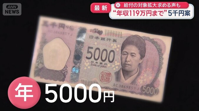 給付の対象拡大　求める声も　“年収119万円まで”5000円案 1枚目