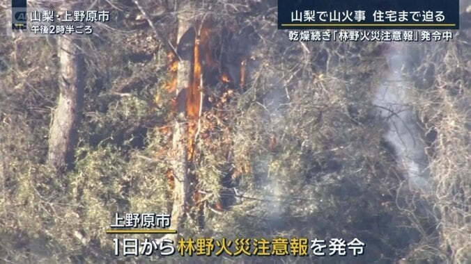 林野火災注意報