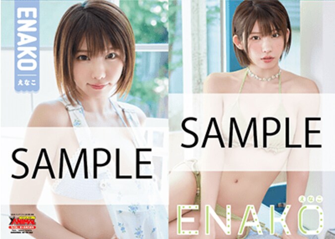 えなこ両面クリアファイル　Takanori Fujishiroiro