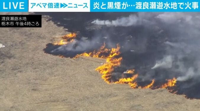 燃えるヨシの枯れ草